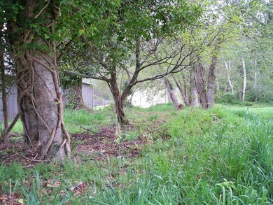 This property is located on Elk Valley Road and is ideal for a - photo 7