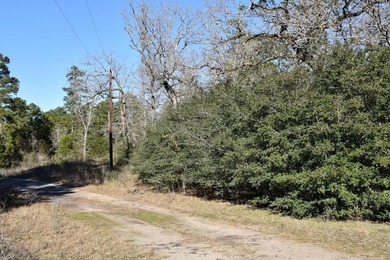Lake Acreage For Sale in Grapeland, Texas