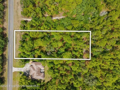 Build Your Next Investment in Florida's Nature Coast! Seize this - photo 3