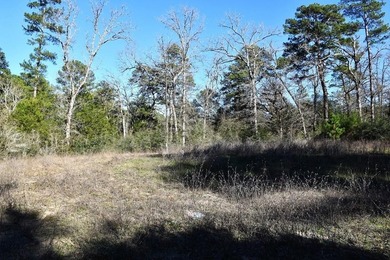 Small acreage, Utilities on property, the rv will be moved, does - photo 3