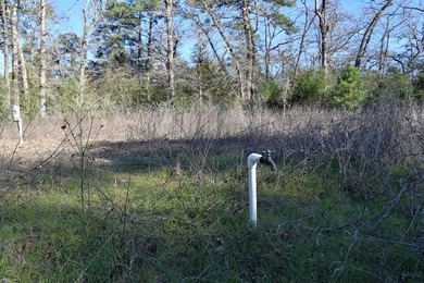 Small acreage, Utilities on property, the rv will be moved, does - photo 4