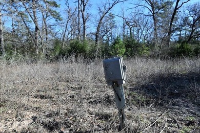 Small acreage, Utilities on property, the rv will be moved, does - photo 5