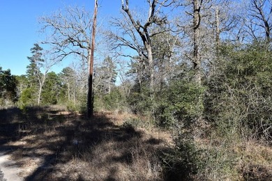 Small acreage, Utilities on property, the rv will be moved, does - photo 6