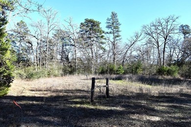 Small acreage, Utilities on property, the rv will be moved, does - photo 7