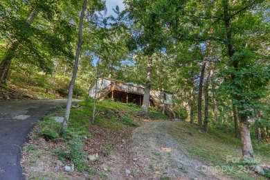 Lake Lure Home For Sale in Chimney Rock North Carolina