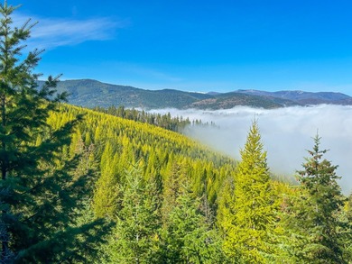 (private lake, pond, creek) Acreage For Sale in Plains Montana