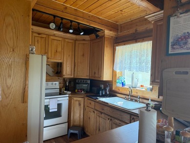Escape to Bear Lake and enjoy the character of this log cabin - photo 8