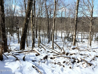 Lake Wallenpaupack Lot For Sale in Greentown Pennsylvania