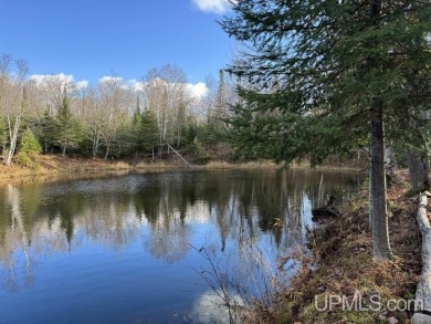 Lake Acreage For Sale in Pelkie, Michigan