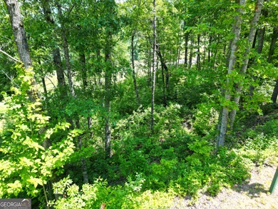 Located in the beautiful Waterfall Club at Lake Burton - Lot J - photo 11