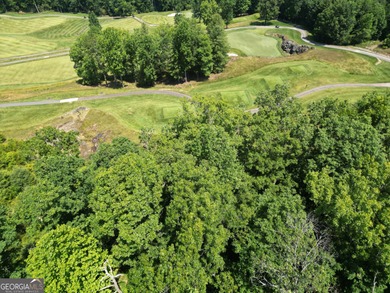Located in the beautiful Waterfall Club at Lake Burton - Lot J - photo 12