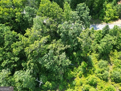 Located in the beautiful Waterfall Club at Lake Burton - Lot J - photo 13