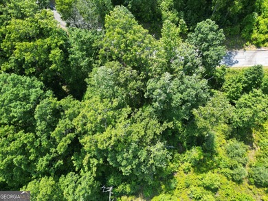Located in the beautiful Waterfall Club at Lake Burton - Lot J - photo 14