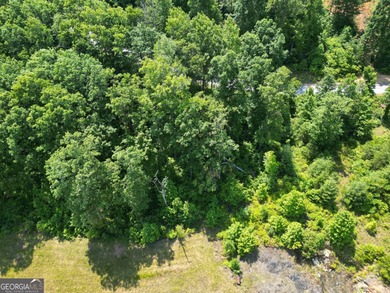 Located in the beautiful Waterfall Club at Lake Burton - Lot J - photo 15