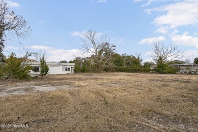 Land available for development located between S 5th Avenue and - photo 22