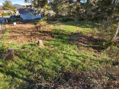 Build your new home in the desirable Washington Park subdivision - photo 2
