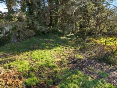 Build your new home in the desirable Washington Park subdivision - photo 3