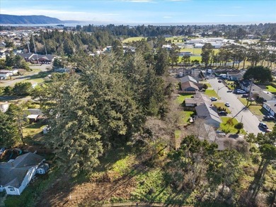 Build your new home in the desirable Washington Park subdivision - photo 5