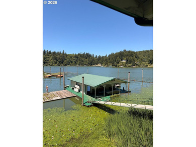 A rare opportunity to own one of Tenmile Lake's most exceptional - photo 3