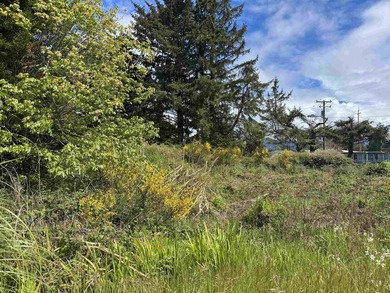 This beautiful .17-acre lot at 1415 Breen St is ideally situated - photo 5