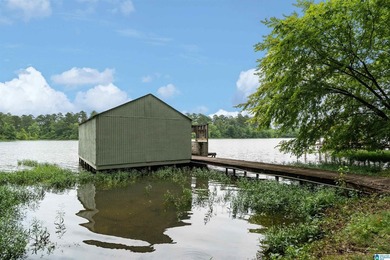 Wow! Everyone's been looking for a Great Lake fixer-upper under - photo 33