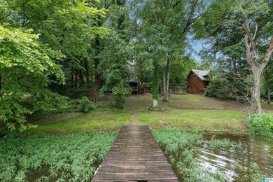 Wow! Everyone's been looking for a Great Lake fixer-upper under - photo 34