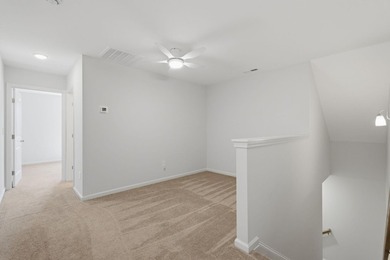 Stunning views of the Winyah Bay estuary surround you in this - photo 38