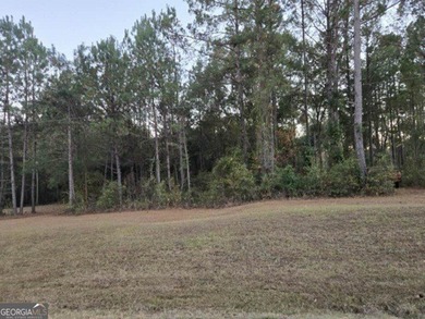 (private lake, pond, coastal) Acreage Sale Pending in Boston Georgia