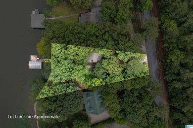 Wow! Everyone's been looking for a Great Lake fixer-upper under - photo 42