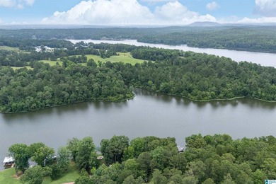 Wow! Everyone's been looking for a Great Lake fixer-upper under - photo 47