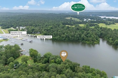 Wow! Everyone's been looking for a Great Lake fixer-upper under - photo 48