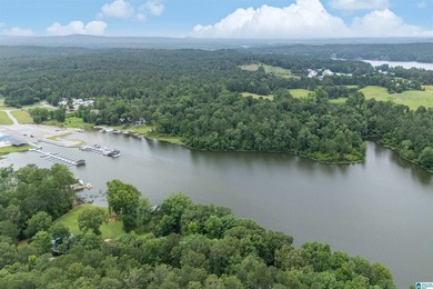 Wow! Everyone's been looking for a Great Lake fixer-upper under - photo 49