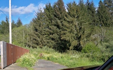 This lot can be an inexpensive investment for future development - photo 1