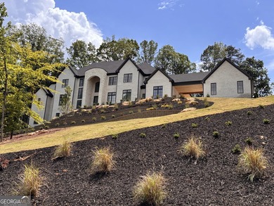 Option for heated pool/ spa and elevator for $3,899,999. Sitting - photo 1