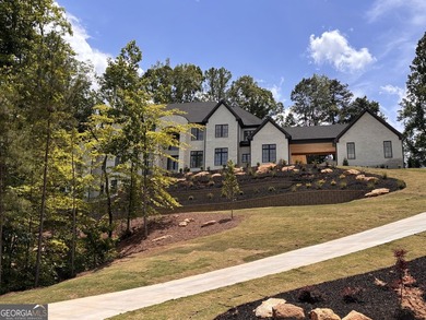 Option for heated pool/ spa and elevator for $3,899,999. Sitting - photo 2