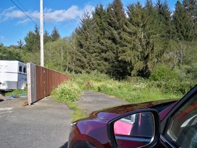 This lot can be an inexpensive investment for future development - photo 3