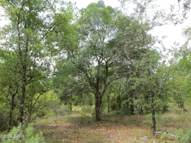 Dunford Lake Lot For Sale in Chipley Florida