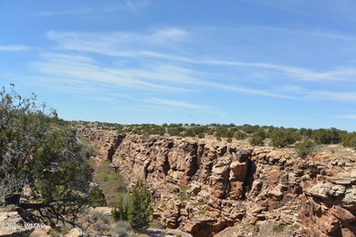 (private lake, pond, creek) Acreage For Sale in Snowflake Arizona