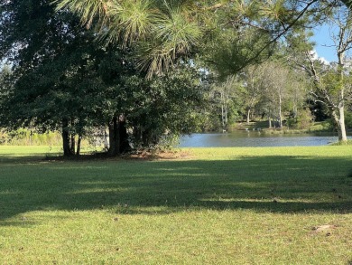 Lake Home For Sale in Marianna, Florida