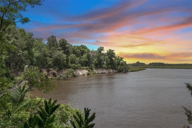 Deepwater Lot #3-A-1 on a high bluff on Cathead Creek in Darien - photo 1