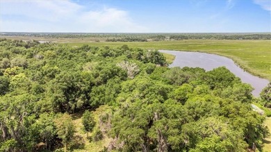 Deepwater Lot #3-A-1 on a high bluff on Cathead Creek in Darien - photo 2