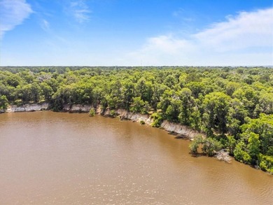 Deepwater Lot #3-A-1 on a high bluff on Cathead Creek in Darien - photo 4