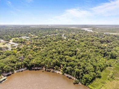 Deepwater Lot #3-A-1 on a high bluff on Cathead Creek in Darien - photo 5
