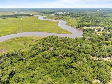 Deepwater Lot #3-A-1 on a high bluff on Cathead Creek in Darien - photo 8