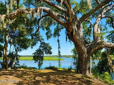 Deepwater Lot #3-A-1 on a high bluff on Cathead Creek in Darien - photo 10