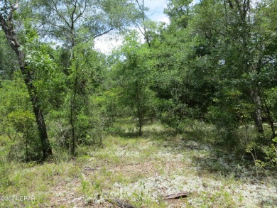 Lake Lot For Sale in Chipley, Florida