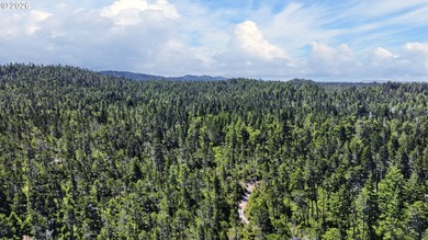 Out of the wind and fog this 10ac parcel with clean well cared - photo 8