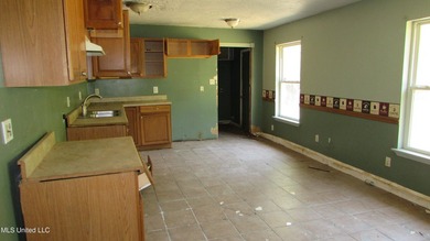 3 bedroom 2 bath home being sold as-is. Newer roof for lower - photo 13