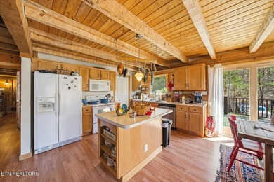 Water View!!! Lakefront privileged on Norris Lake with big - photo 14