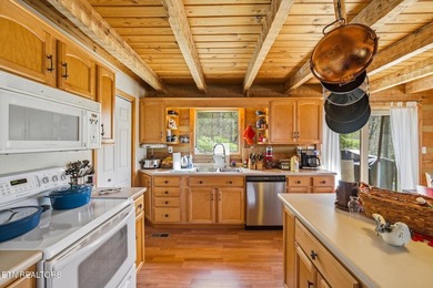Water View!!! Lakefront privileged on Norris Lake with big - photo 16